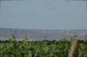 DSC_0079