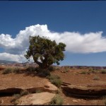can clouds do Jazz Hands?