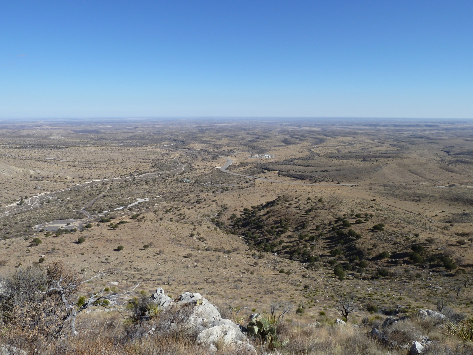 guadalupe1